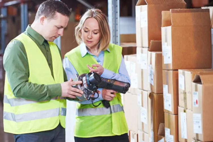 Job offers. EUROPA WORKINTENSE