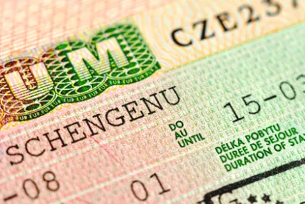 Work permit for foreigners. Solving the process and issues of obtaining a long-term work visa. Europa Workintense
