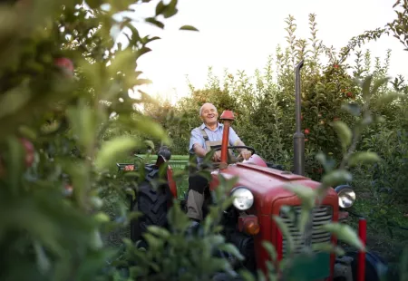 Traktorista na farmu, živočišná výroba. Práce v Česku, Želiv