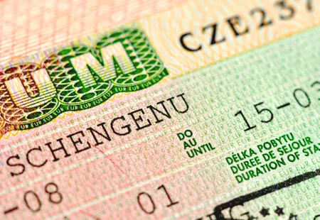 Pracovní povolení pro cizince. Řešení procesu a problematiky získávání dlouhodobého pracovního víza. 